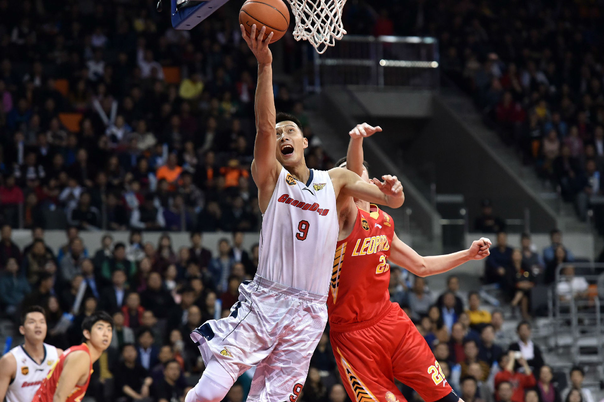 这在密集客 这在密集客