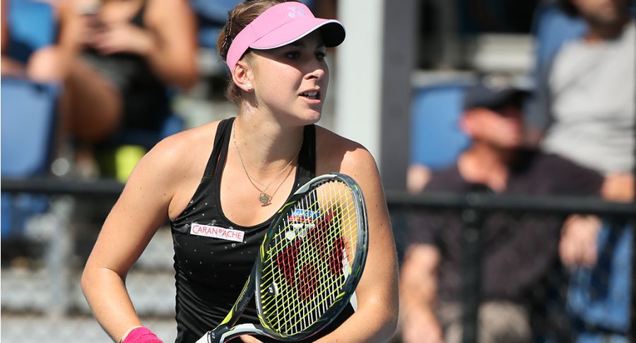 年的合作历 年的合作历