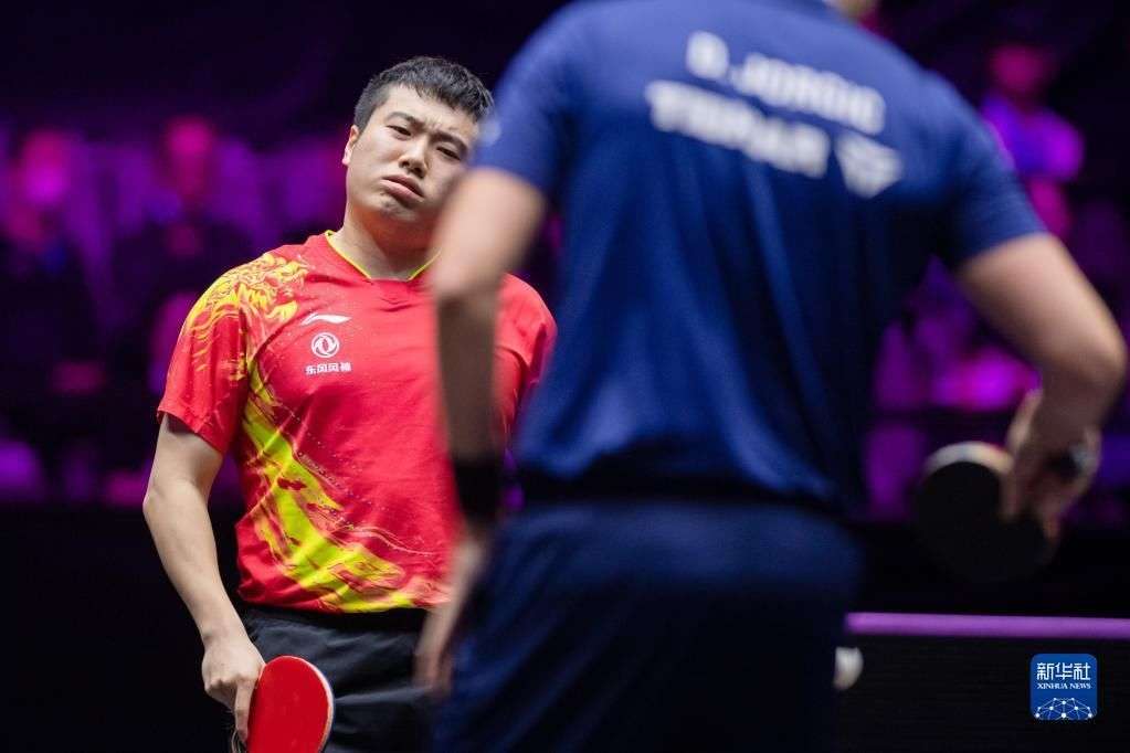 展提供了新 展提供了新