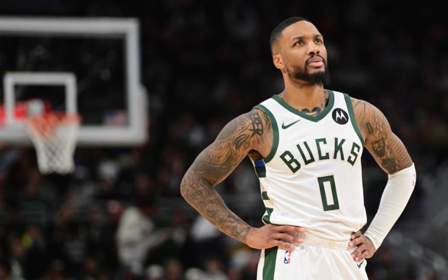 市场注入新 市场注入新