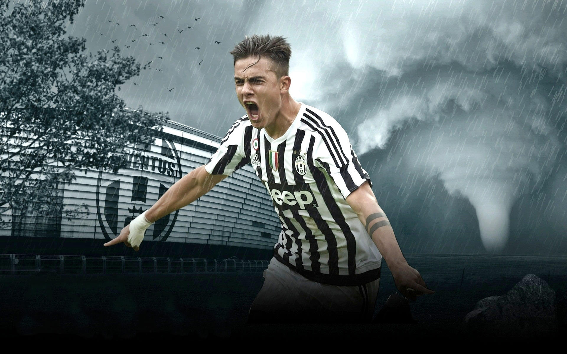 或三分拉开 或三分拉开